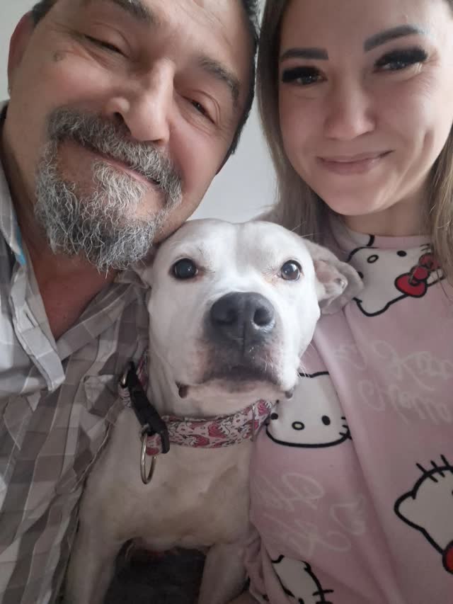 Petsitterzy Petsy z psem podczas opieki w domu